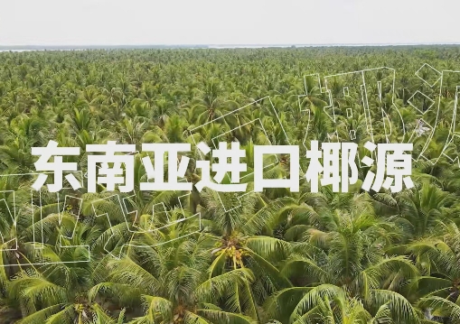 ں100%Ҭˮ{ʲôɞ̽^ęn